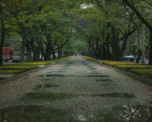 A person taking a calm walk through a Mexican city park after work